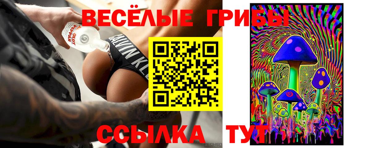 Галлюциногенные грибы Psilocybe Тайшет