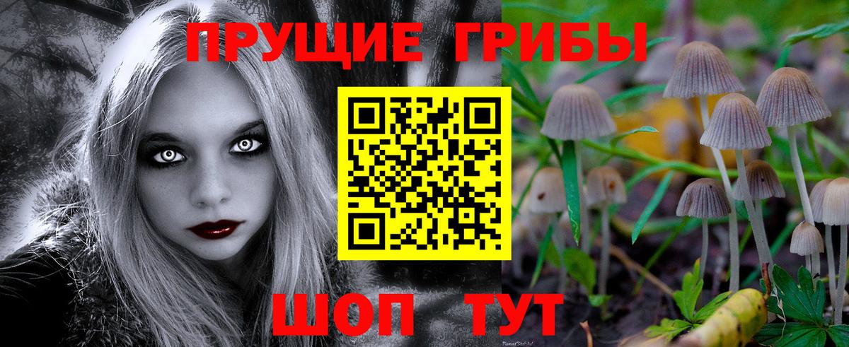 Тайшет  купить закладку  Вход с VPN  Галлюциногенные грибы Psilocybine cubensis  Галлюциногенные грибы ЛСД 